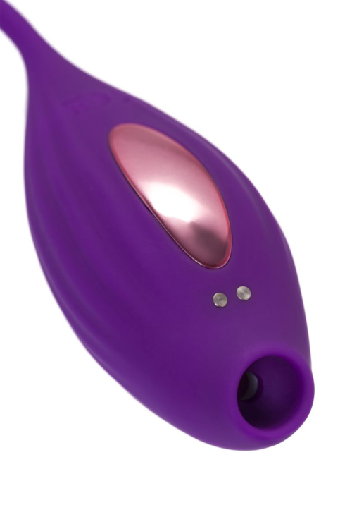 Фиолетовый вакуумный стимулятор клитора Ginny с виброяйцом - 10