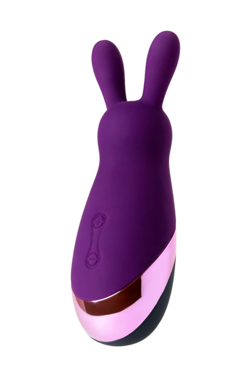 Фиолетовый стимулятор эрогенных зон Eromantica BUNNY - 21,5 см. - 2