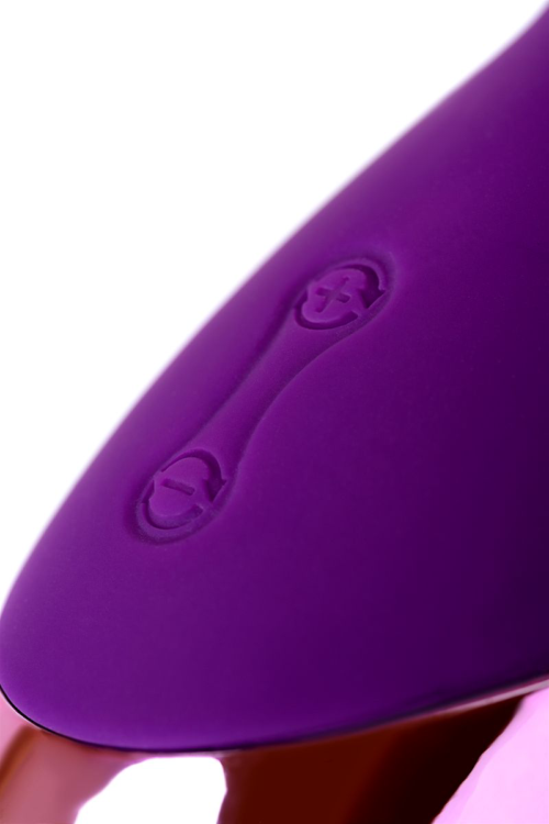 Фиолетовый стимулятор эрогенных зон Eromantica BUNNY - 21,5 см. - 11