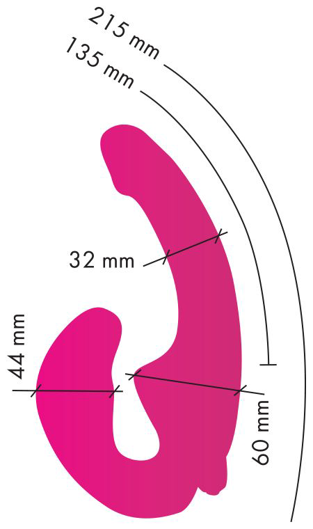 Ярко-розовый анатомический страпон с вибрацией - 2
